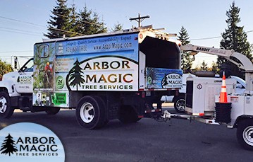 Commercial Tree Care Services Commercial Tree Care Services