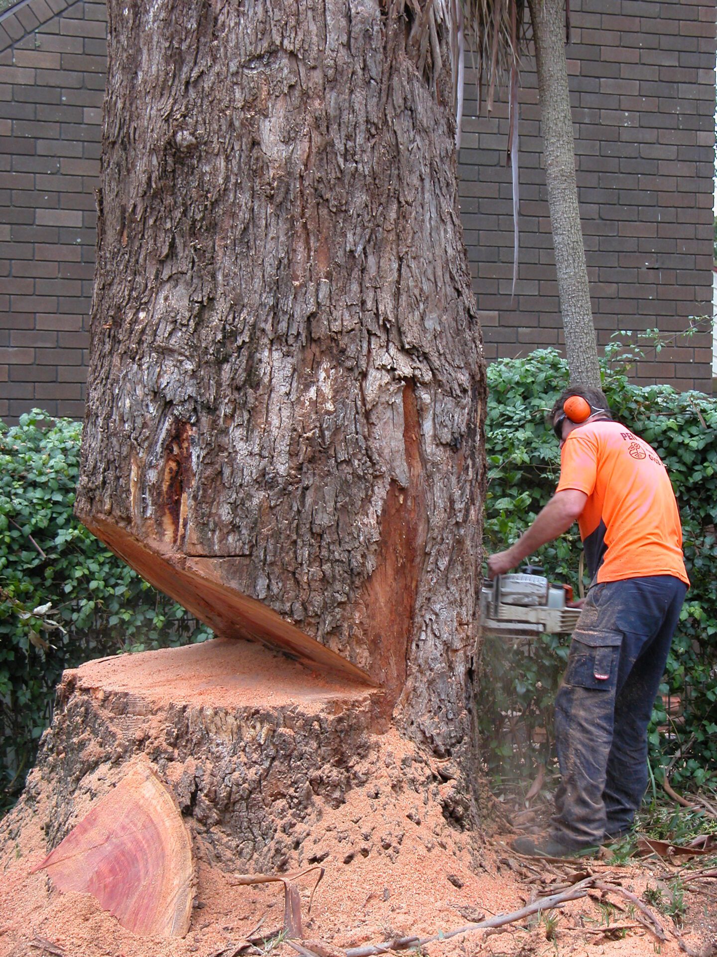 types of tree cutting apes