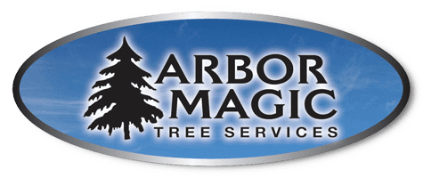 kevin s tree service gadsden al arbor magic logo retina emergency tree removal services trimming cutting pruning kevin s tree service gadsden al arbor magic logo retina emergency tree removal services trimming cutting pruning